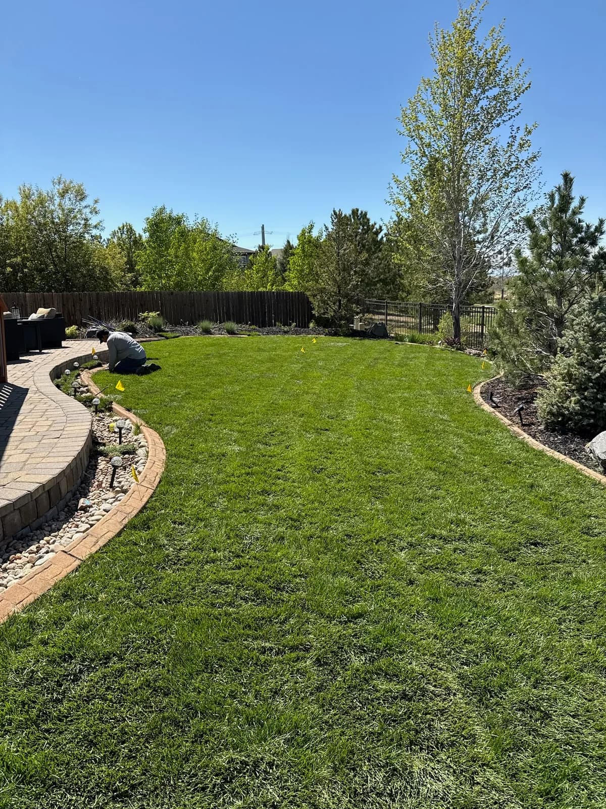 Backyard with a curved, freshly mowed lawn framed by mulched border beds and mature trees